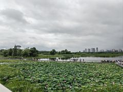 -哈尔滨大剧院