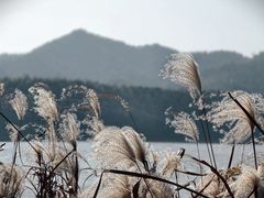 -东钱湖旅游度假区