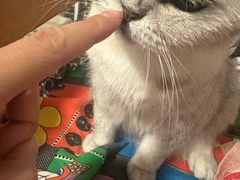 -簋街