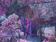 -九皇山景区