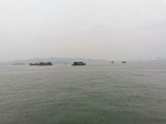 -西湖外事游船(花港观鱼码头)