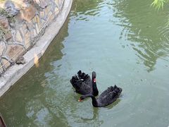 -上海虹桥迎宾馆