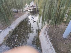 -太原动物园