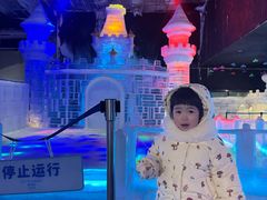 -海合安成都极地海洋公园