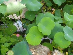 -镇江市南山风景名胜区竹林景区