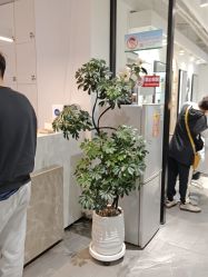 -LJOY丽锦造型·烫发染发