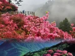 -木兰云雾山