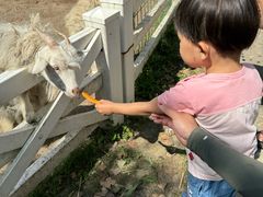 -哈尔滨北方森林动物园