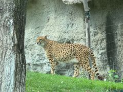 -北京野生动物园