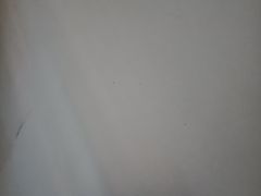 -巢爷老味(东方红店)