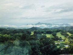 -深圳大学总医院