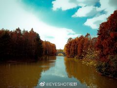 -上海海湾国家森林公园