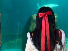 -广东惠东海龟国家级自然保护区
