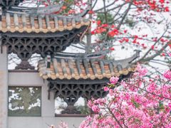-宝墨园景区