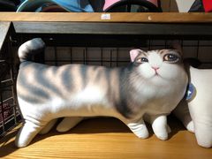 猫咪商品-猫咪博物馆(顶澳仔猫街店)