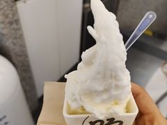 -野人先生Gelato(上海长宁龙之梦店)