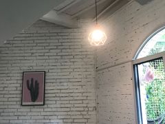 -有猫主题·治愈系猫咖(曾厝垵店)