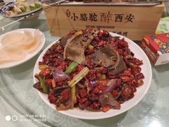 -福苗小骆驼烧烤(大唐不夜城店)