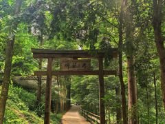 -凤栖山