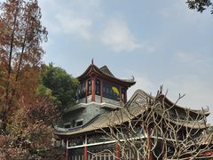 -顺峰山公园