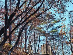 -帽儿山国家森林公园