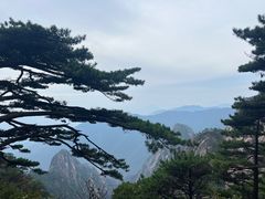 -黄山风景区
