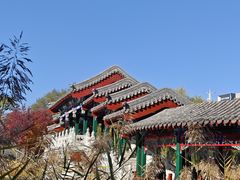 -西海子公园