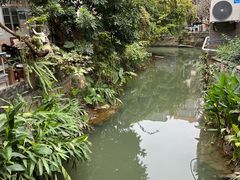 -小洲村