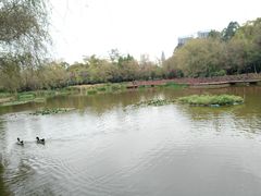 -月牙潭公园