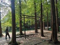 -渡海小渔村.老辈日照菜