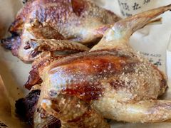 -鼎原力量东北吊炉烧烤(临河街店)