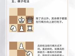 -申城国际象棋(联洋部)