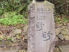 -都江堰中华大熊猫苑