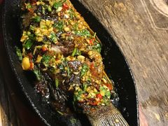 -鸽子窝专业烧烤店(长白店)