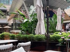 -君悦酒店·La Terrazza意合園·意式风味