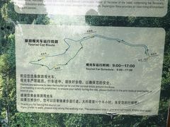 -都江堰中华大熊猫苑
