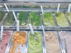 -鹤茶野所(上海首店)