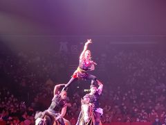 -珠海横琴长隆《卡卡虎奇遇记》