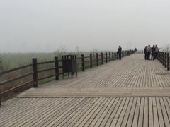 -汉长安城未央宫国家考古遗址公园