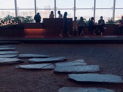 -Seesaw Coffee(朝阳大悦城店)