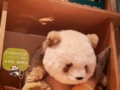 -三联韬奋书店(宽窄巷子店)