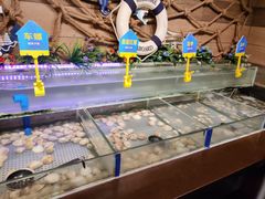 -蒙肥羊·酸汤潮牛·鲜牛肉火锅烤肉自助(岗顶店)