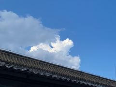 -白草畔自然风景区