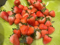 -星伦多自助料理(永旺店)