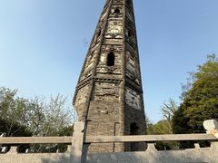 -上海佘山国家森林公园天马山园