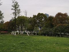 -天鹅湖体育公园