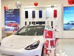 -TESLA 特斯拉(广州天环广场体验店)
