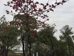 -文华公园(禅城区)