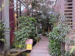-大树头森林餐厅(番禺广场店)