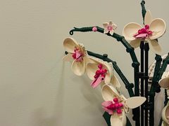 -Again Coffee Roaster(香蜜湖店)